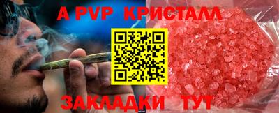 Альфа ПВП Дубна