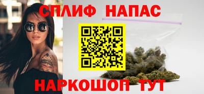 Альфа ПВП Дубна