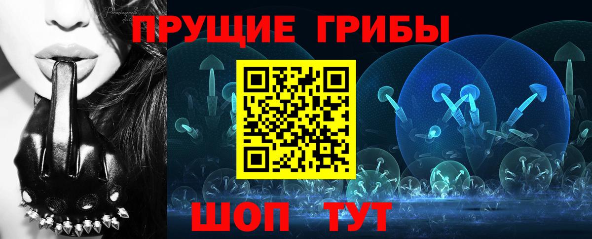 Галлюциногенные грибы Psilocybine cubensis  Галлюциногенные грибы мухоморы  Мичуринск  Вход с VPN 